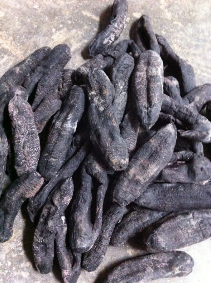 去皮茄参 海茄参 乌参 营养丰富 质量保证 大量供应图片_7