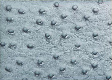 正品南非鸵鸟皮钱包 真皮女包 鸵鸟皮女士手拿包 票夹 零钱包