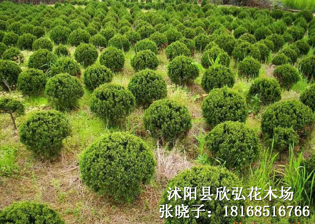 做活“联”文章 “贷”动民企拔节向上