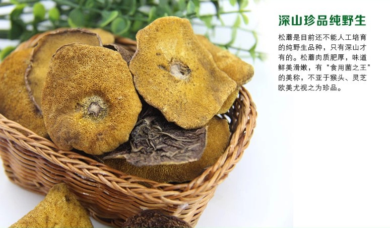 松蘑,长白山松蘑,红蘑(第5页)_大山谷图库