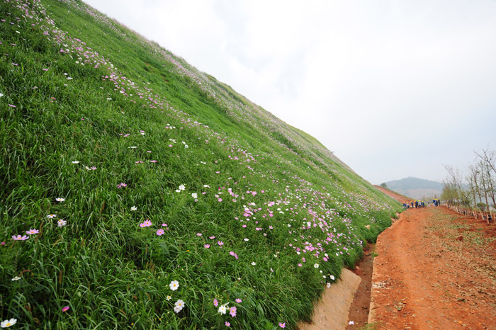 福州 厦门 泉州公路边坡绿化无纺布 喷草籽专用绿化无纺布