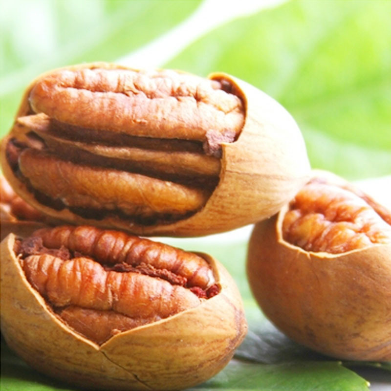 弘宇原始口粮 坚果零食干果 新疆碧根果 支持混批 团购 定制