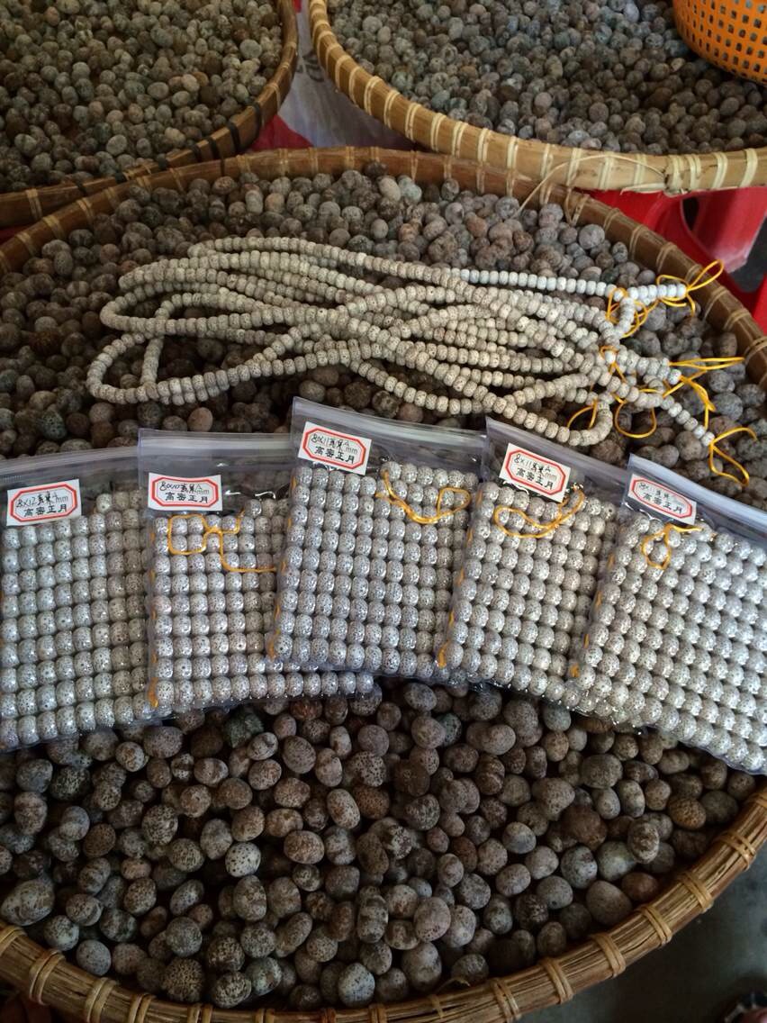 海南星月菩提子别名红藤,省藤,藤根,正藤,真白藤,赤藤