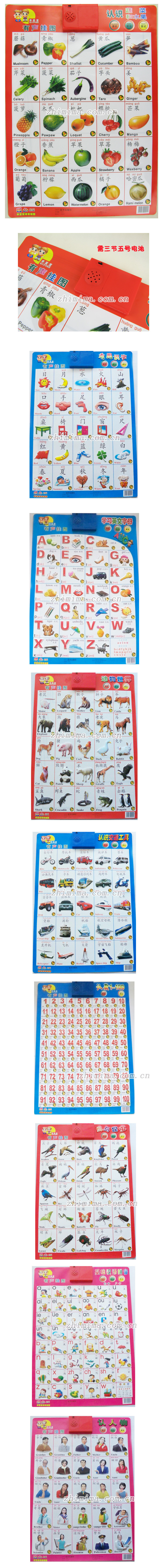批发正版乖宝宝 双语发音挂图 语音发声挂图早教益智教具识字