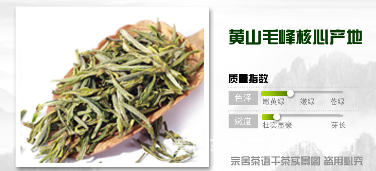 【黃山毛峰 特級 2014新茶 綠茶】價格,廠家,圖片,綠茶,黃山茗魁茶業