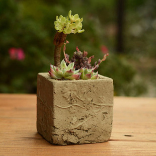 特价素雅陶瓷方形花盆大中小号种花套装阳台种植陶器植物花盆批发