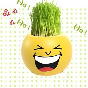 表情长草娃娃-大笑(1号) 图片_高清大图 - 阿里巴巴