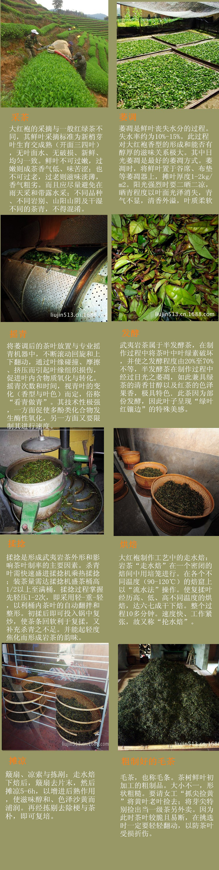 岩茶制作工艺流程图片图片