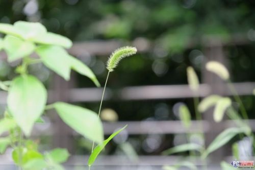 让人生轻装简行