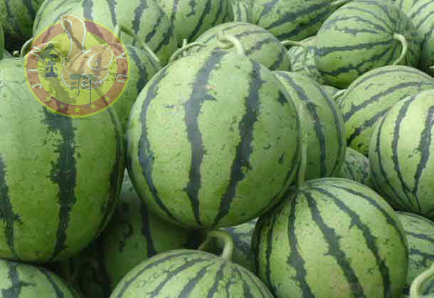 金羽水果-纯天然绿色食品-西瓜 专业蔬菜水果配送