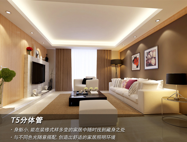 ledt5灯管一体超亮节能led日光灯t5灯管0.6米led光管12w 内置电源