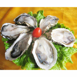单冻生蚝 冷冻野生海蛎子 牡蛎 海鲜贝类水产品特价供应