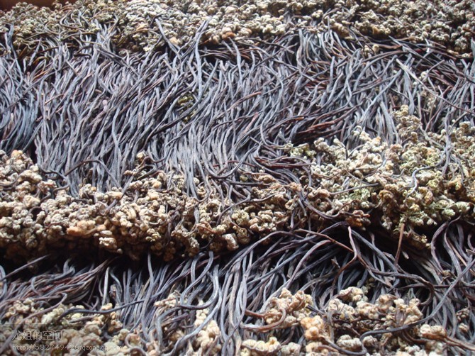 【厂家直销】 有机绿色干蕨菜 山野菜系列干蕨菜 量多优惠