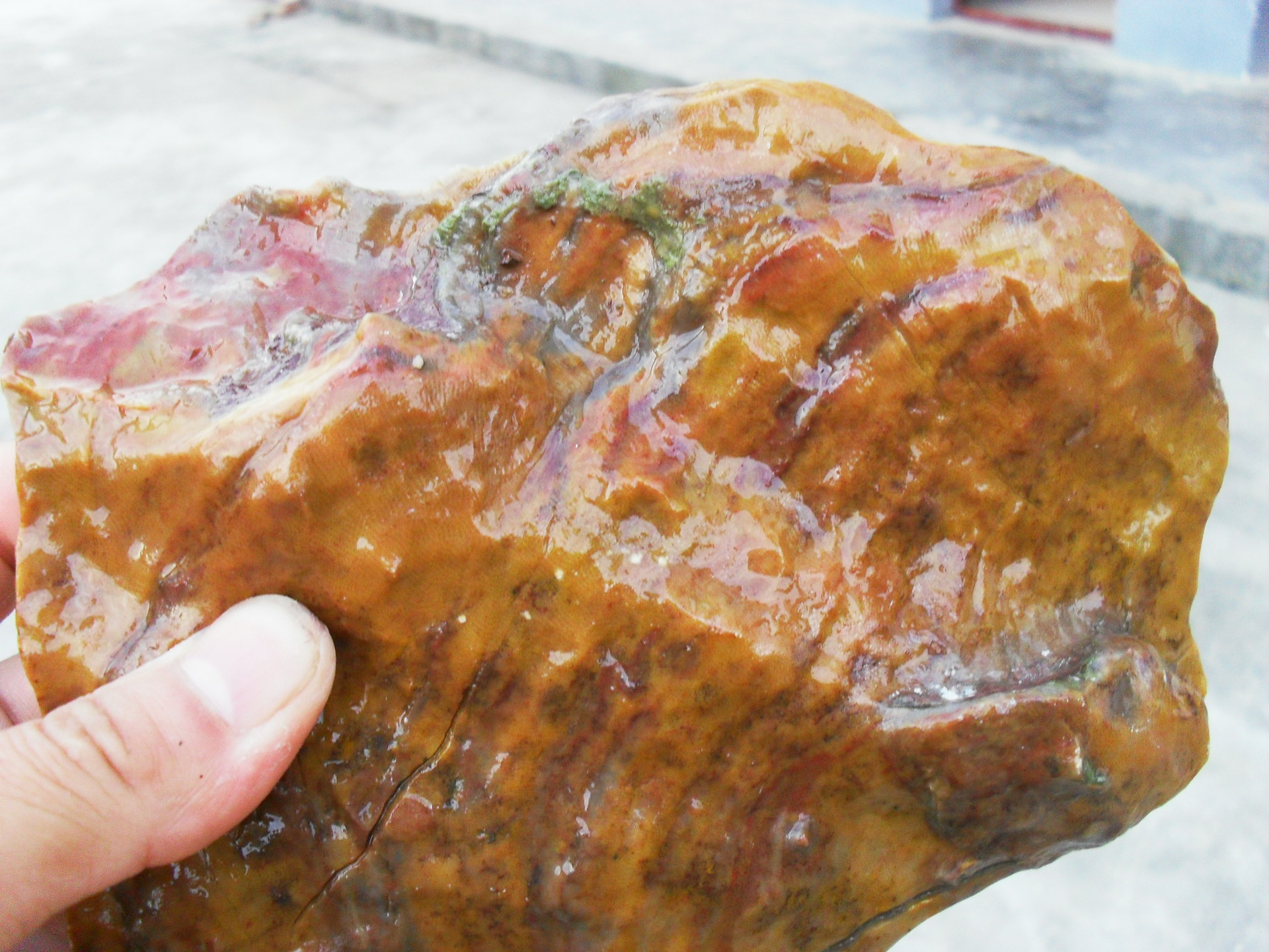 四川广元珊瑚玉石产地直销 黄色玉石 原石工艺原料菊花玉礼品收藏玉石