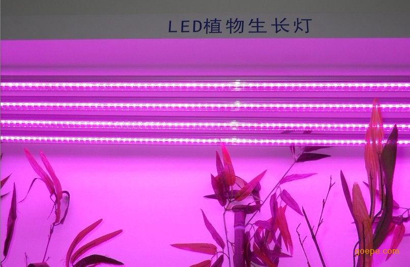 【企业集采】led植物生长灯管 led植物灯管 不防水 0.6米 6w 灯管