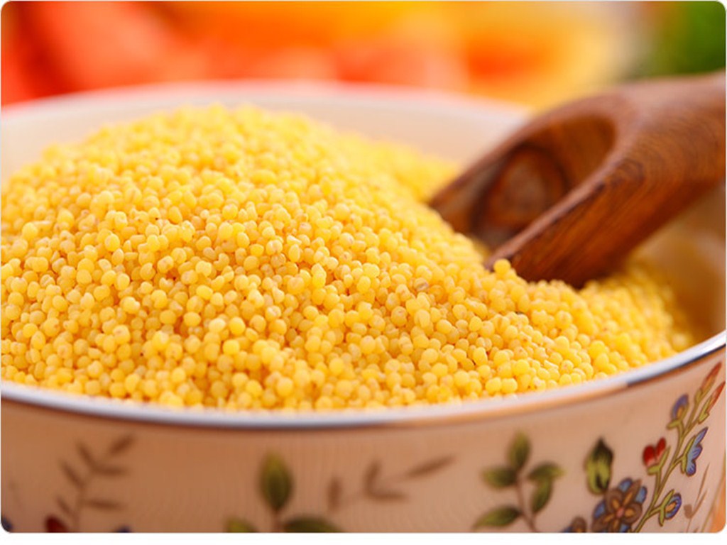 河北张家口蔚州黄小米贡米无农药化肥有机蔚县谷子健康绿色高品质散装