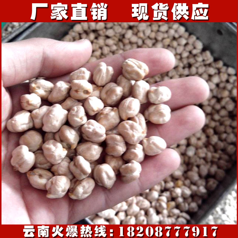 雲南昆明2014新品雲南野生天麻子 天麻豆質量 昆明現貨 贈送廣告錄音