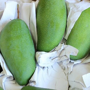 新鲜泰国进口水果 大青芒 泰国甜青芒青芒果