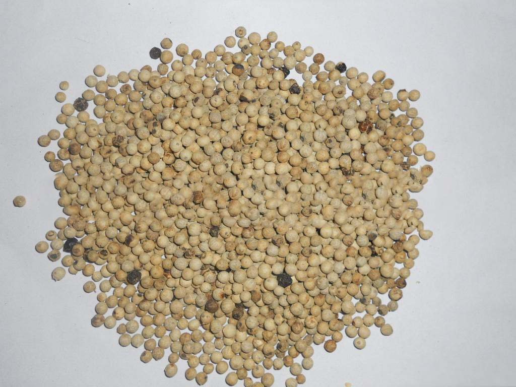 直销亳州原料药材 中药饮片白胡椒粒