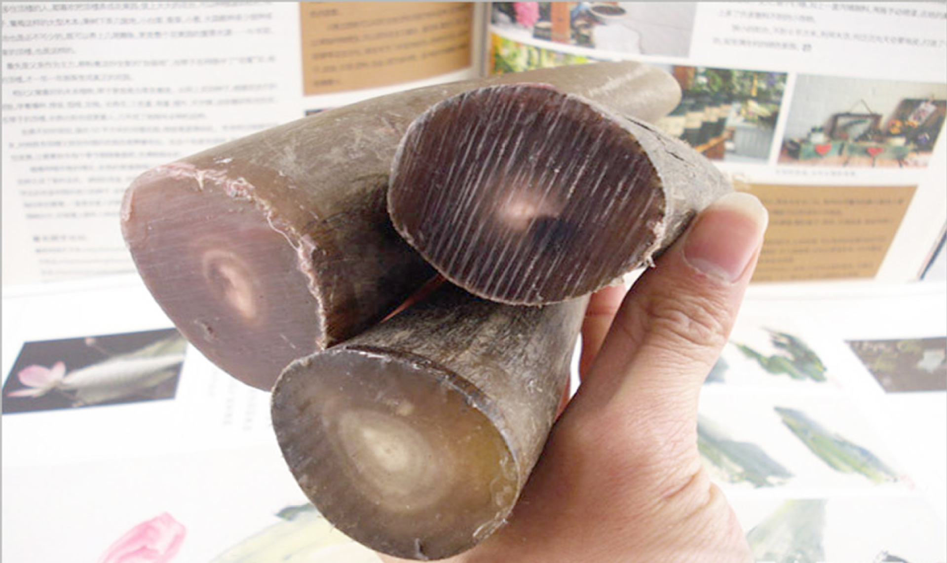 批发天然白水牛角刮痧板 正品 美体美容瘦身刮痧板保健按摩养生梳