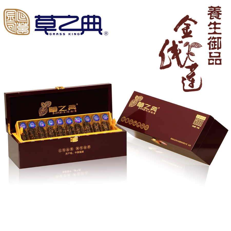 衣之典服饰：引领时尚潮流的新力量