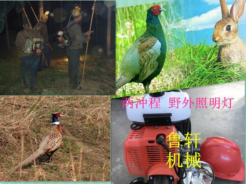 野味野兔捕捉灯厂家抓捕灯捕猎照明灯