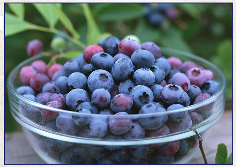 实体批发 北极冰莓 低价促销 果饮饮料套装