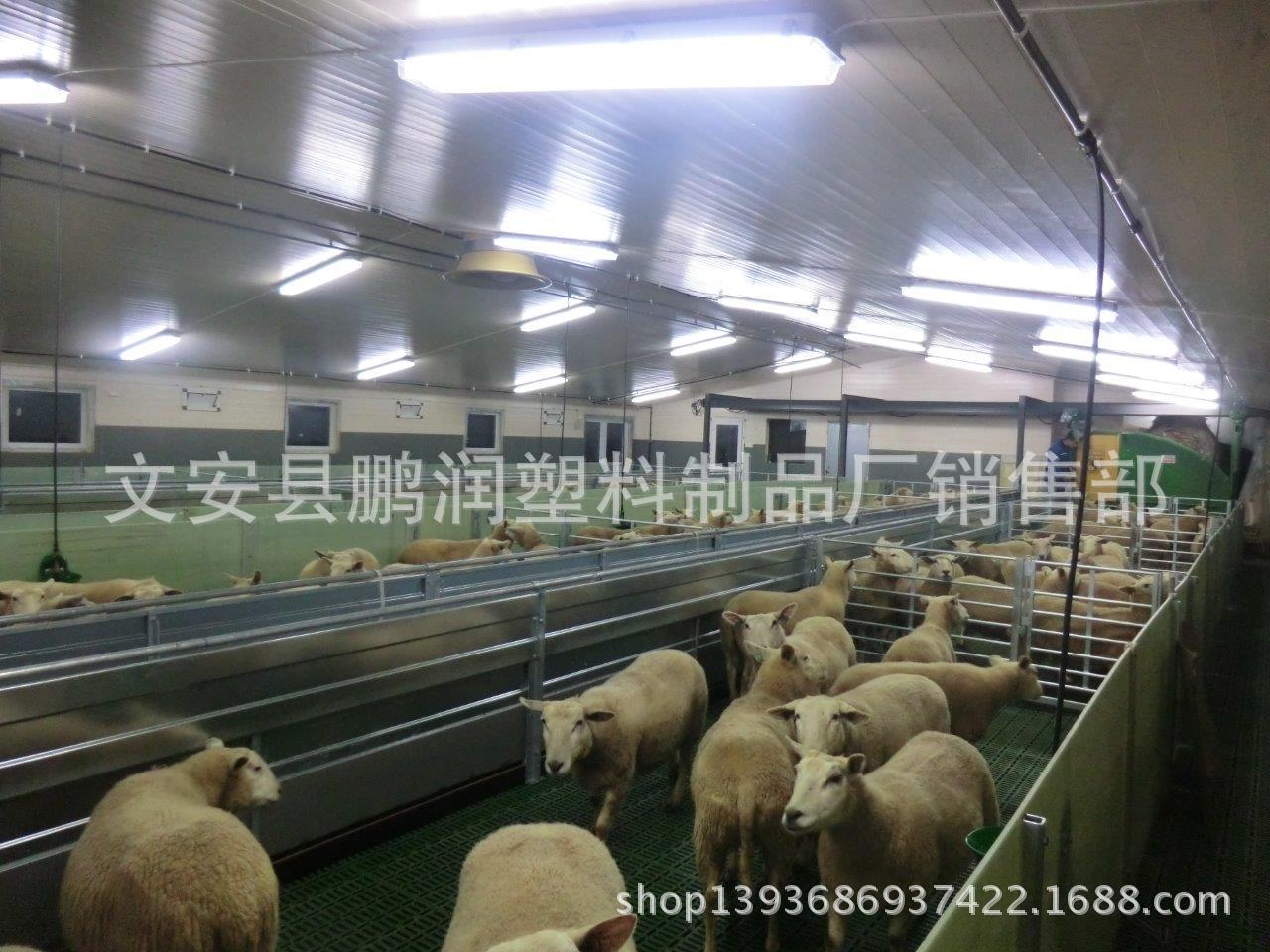 自动生产羊床机器图片