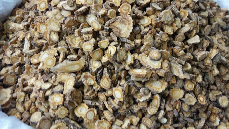 批发 防风 北防风 关防风 家种 新货 精选 纯天然原产地直销 促销