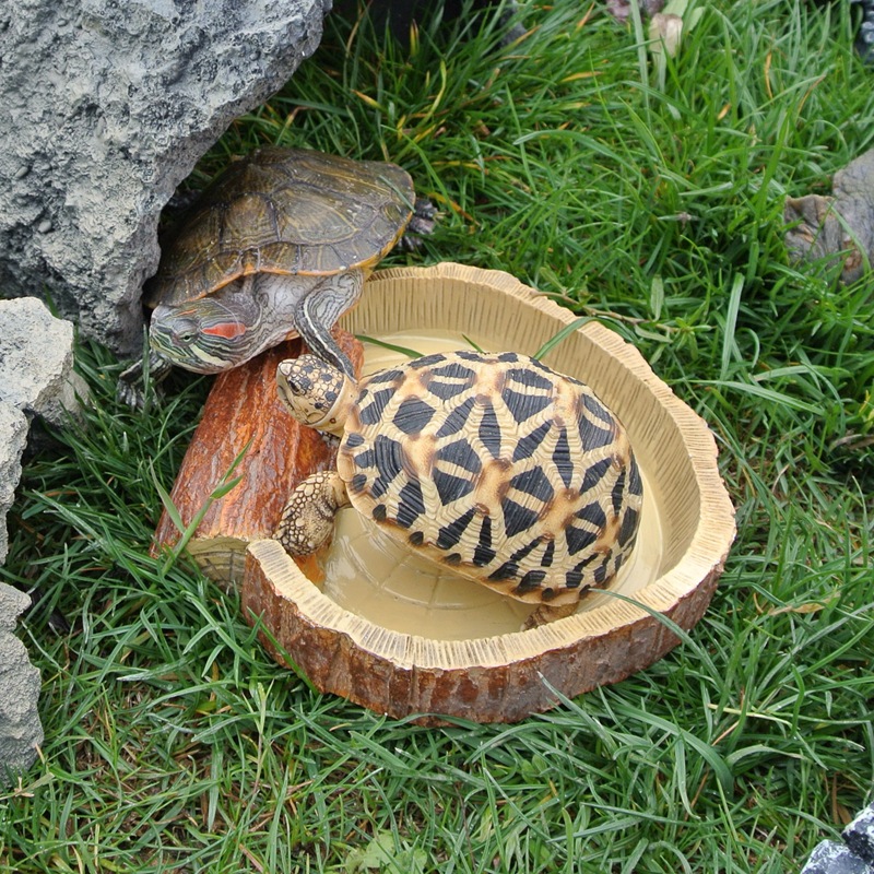 仿真 豹紋陸龜 動物 烏龜模型 樹脂工藝品 擺件 居家裝飾 定製產