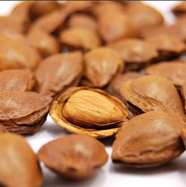 休闲食品批发部强力推荐奶香开口杏核 特产开口杏核杏仁图片_37