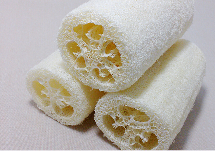 品名:纯天然丝瓜络 颜色:天然色 包装:单个散装 材质:丝瓜络 【产品