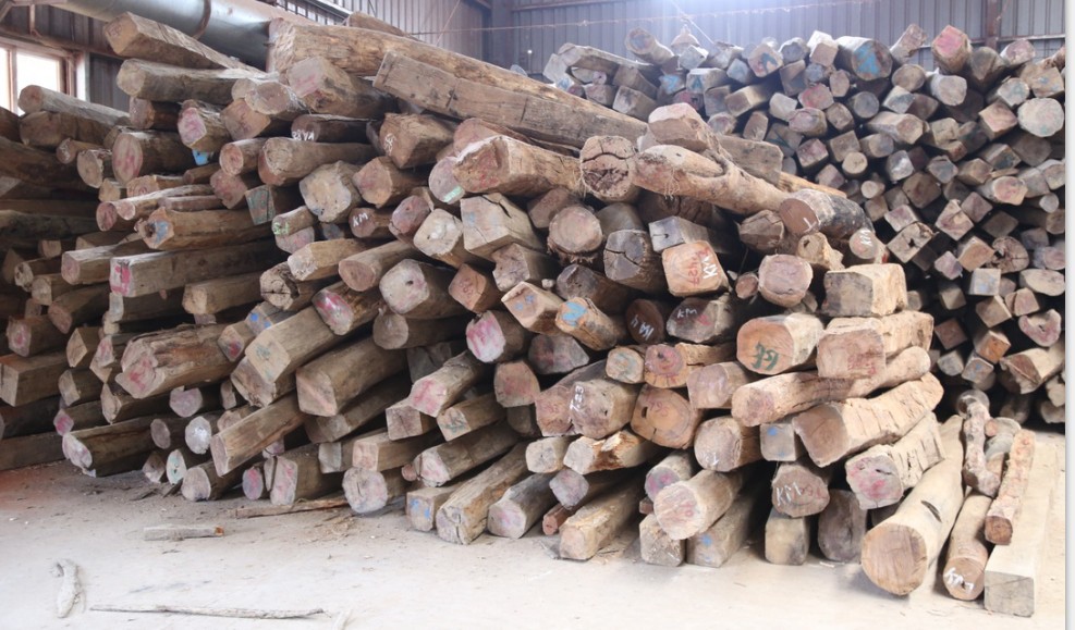 白酸枝 缅甸酸枝 奥氏黄檀 口径20-25公分 长度2-2.5米