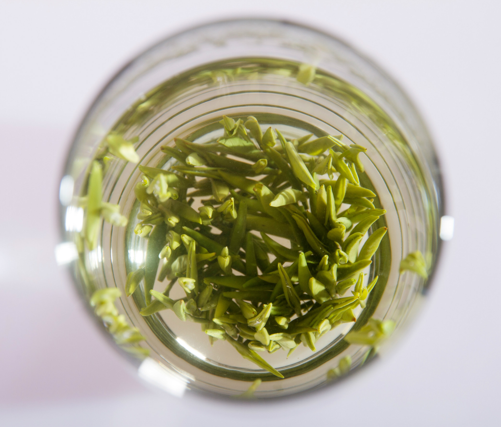 绿乡茗 正宗雀舌 竹叶青 批发直销