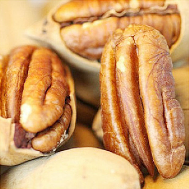 弘宇原始口粮 坚果零食干果 新疆碧根果 支持混批 团购 定制