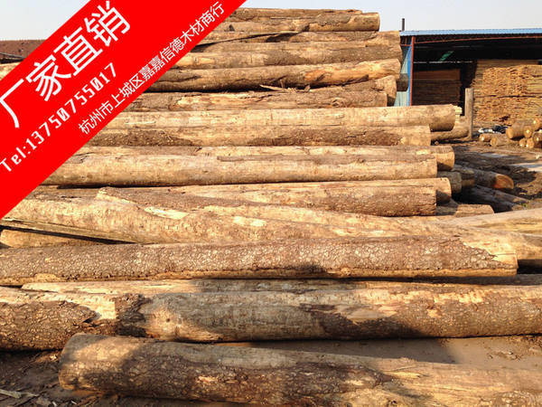 批发进口欧洲白松 白松原木定尺加工