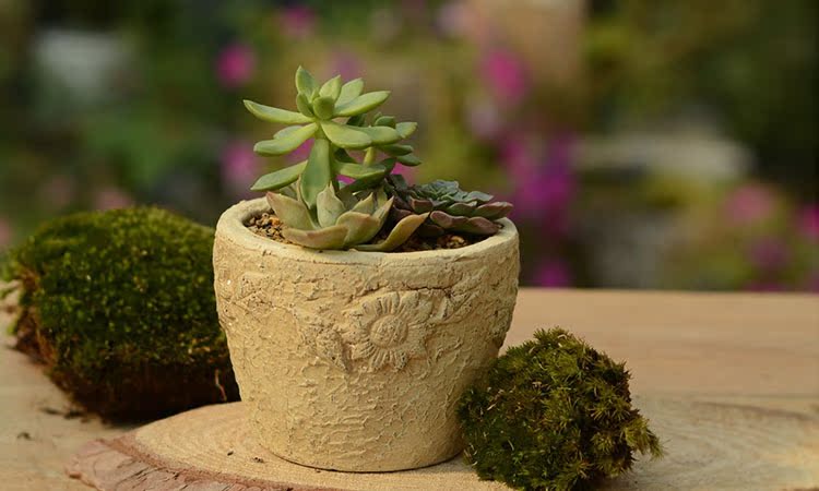 陶瓷花盆陶盆陶土粗陶多肉花盆做旧篱笆向日葵