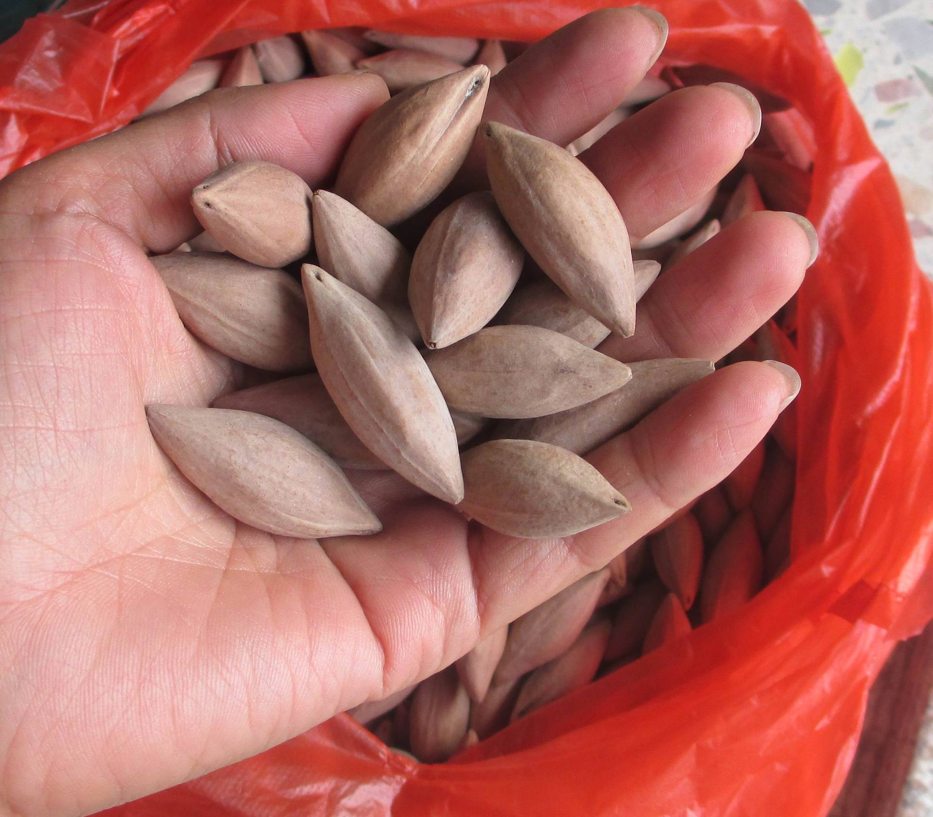 橄榄核雕工艺原料铁头油核十八罗汉观音龙舟练手核