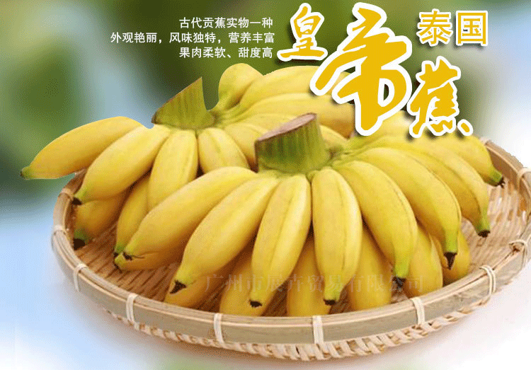 正宗泰国皇帝蕉 香蕉 进口新鲜水果特产食品 批发香甜25斤左右