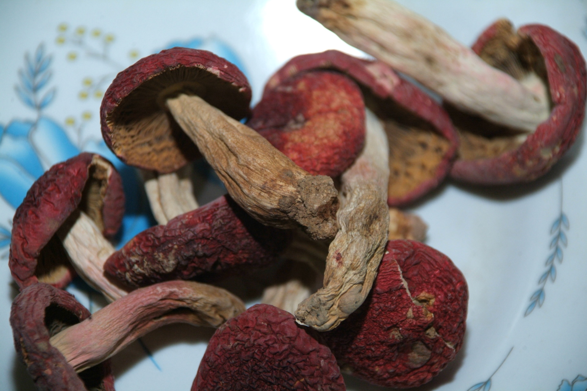 福建邵武土特产 天然野生红菇 散装称重 味道纯正