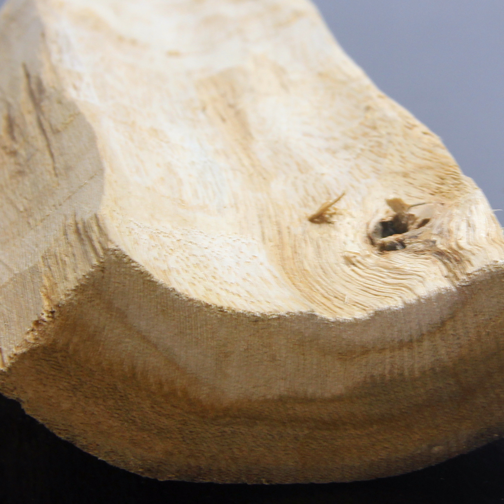 广西防城港沉香木原料 白木香原料 大量入口详情 - 中国供应商移动版