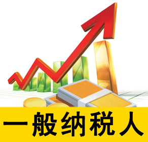 认定一般纳税人