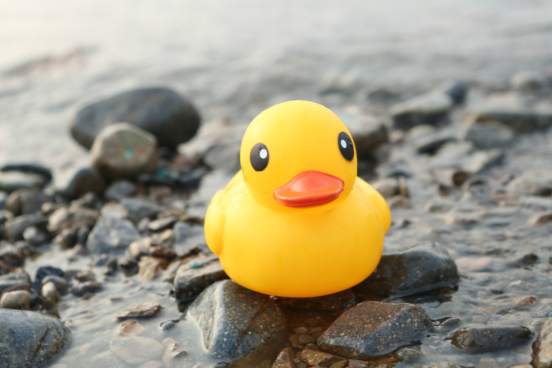 正版香港大黄鸭洗澡玩具 宝宝婴幼儿童戏水可爱小黄鸭 可印logo