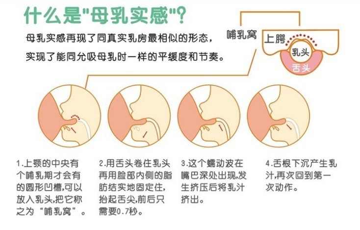 扁奶嘴示意图图解图片