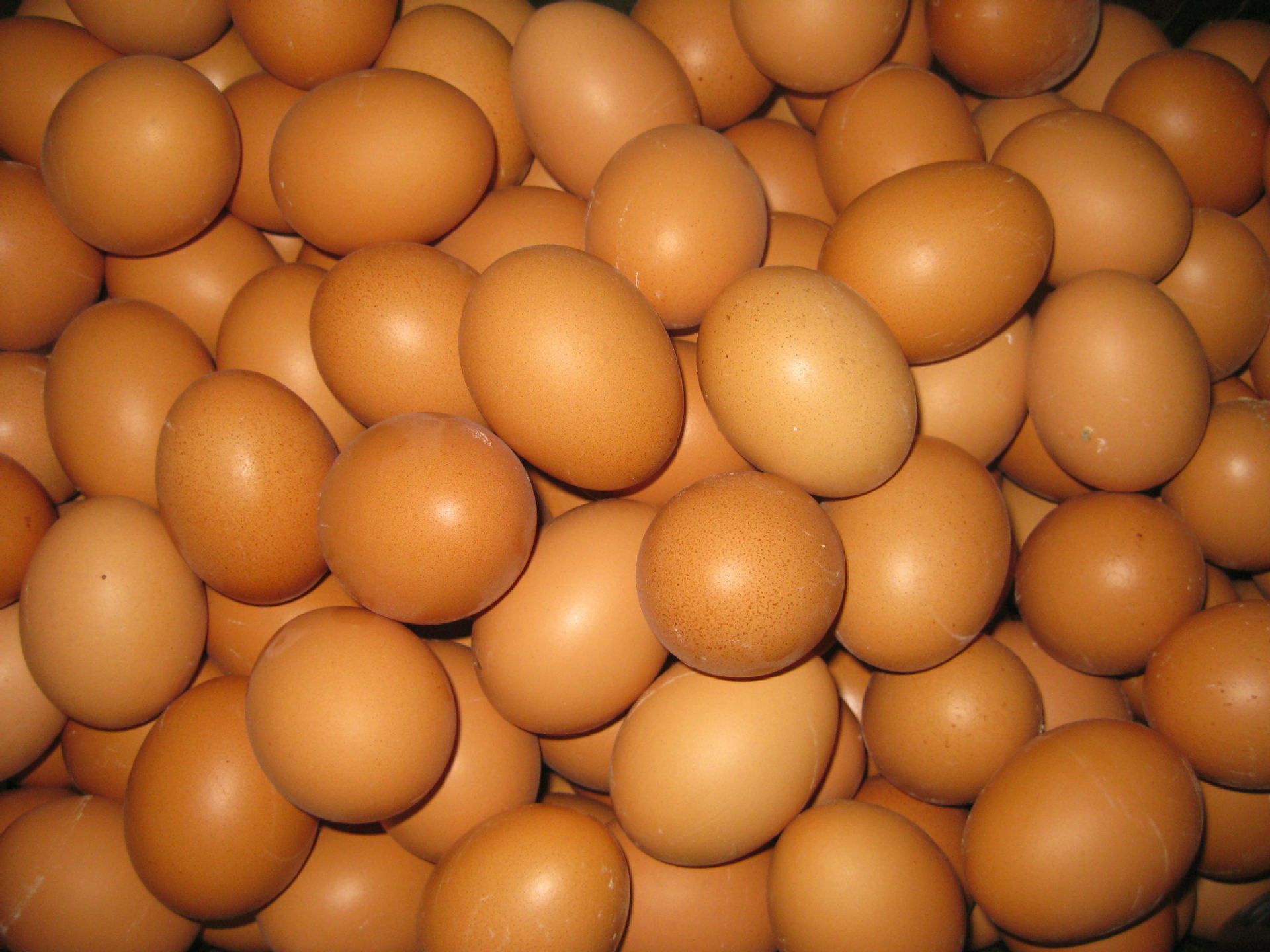 [ 金鸡禽蛋] 散装普通鸡蛋