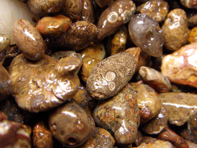 九眼石页岩 眼睛石 戈壁玛瑙九眼石天珠 吊坠 挂牌料 天眼玛瑙