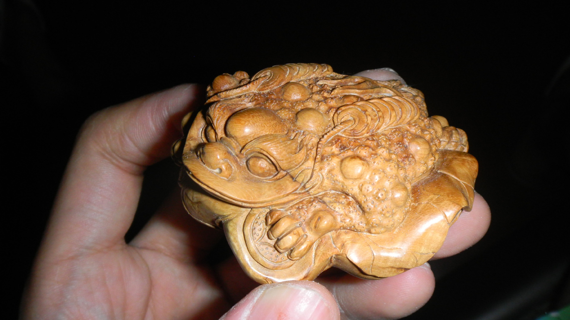 麻梨疙瘩手把件金蟾