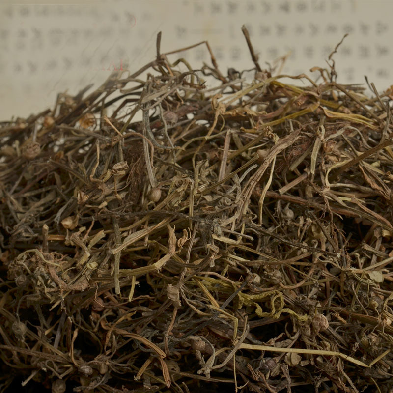 亳州中药材供应江西野生批发白花蛇舌草饮片新货1000g目目生珠草