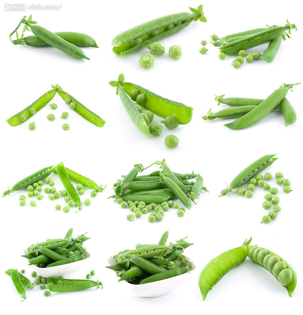 江西新余预售 江西生态农产品蔬菜 豌豆价格 - 中国供应商移动版