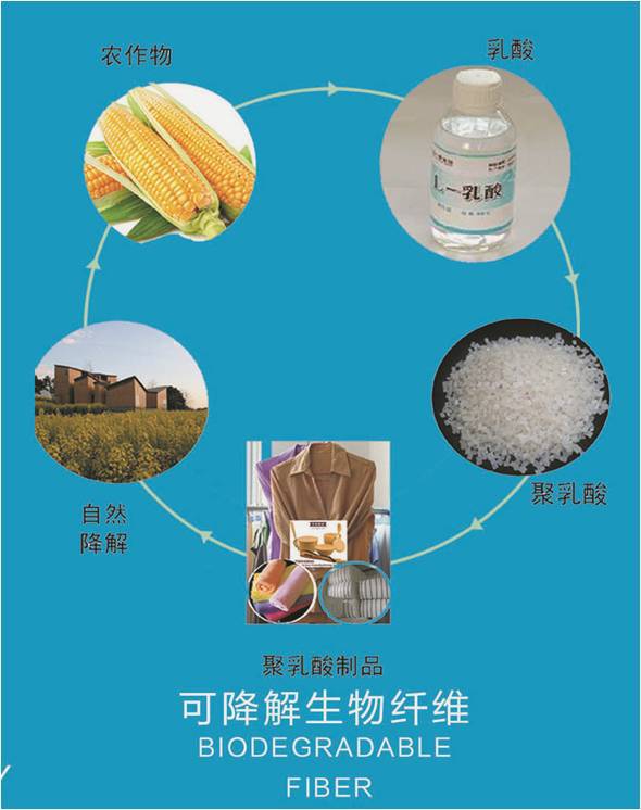 玉米纤维聚乳酸纤维pla本白150d72f低弹丝dty